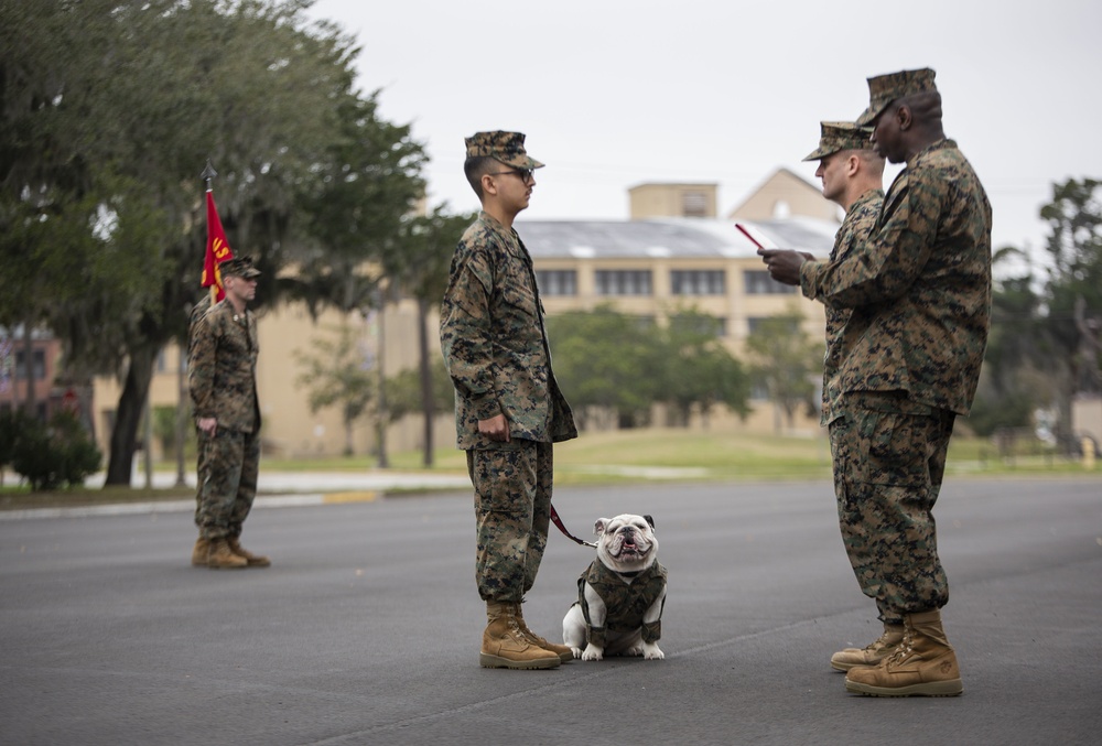 Parris Island Mascot NCO Promotion ceremony