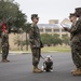 Parris Island Mascot NCO Promotion ceremony