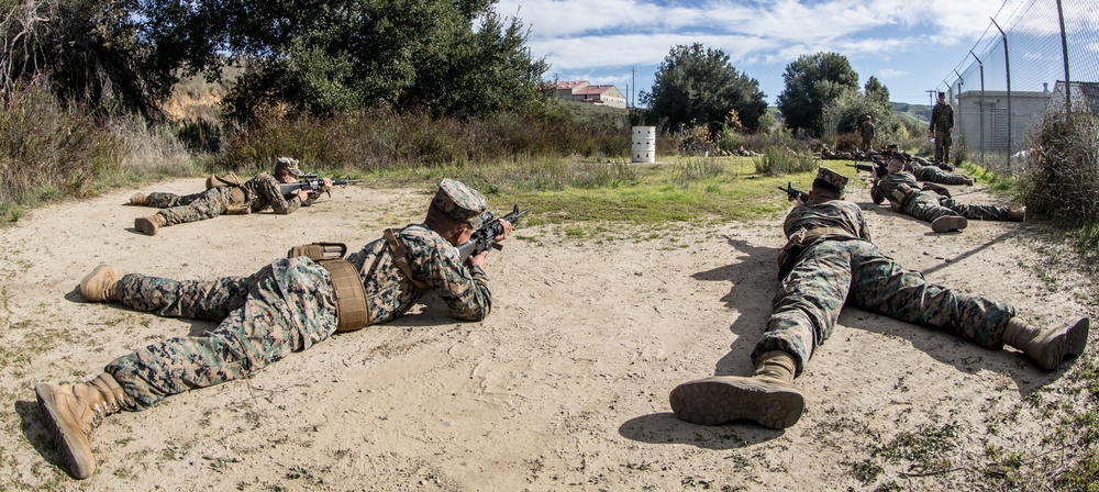 Snapping in to the new year