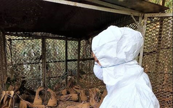 Jungle Combat Boots were tested to extreme by TRTC