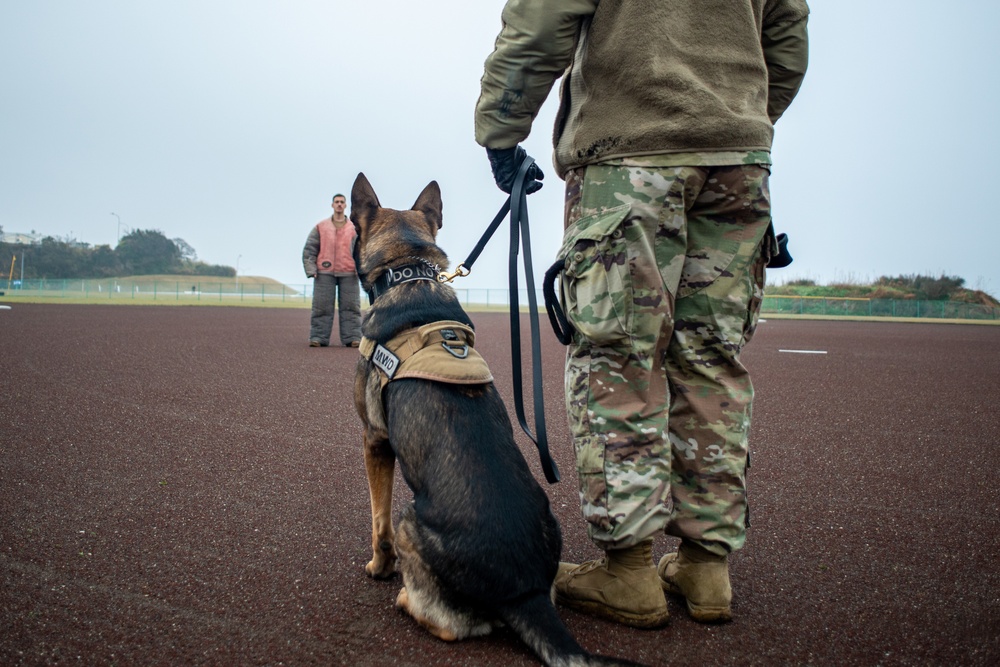 Yokosuka Holds Military Working Dog Joint Training
