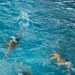 200107-N-TE695-1003 NEWPORT, R.I. (Jan. 7, 2020) -- Navy Officer Candidate School (OCS) take the third-class swimmer test