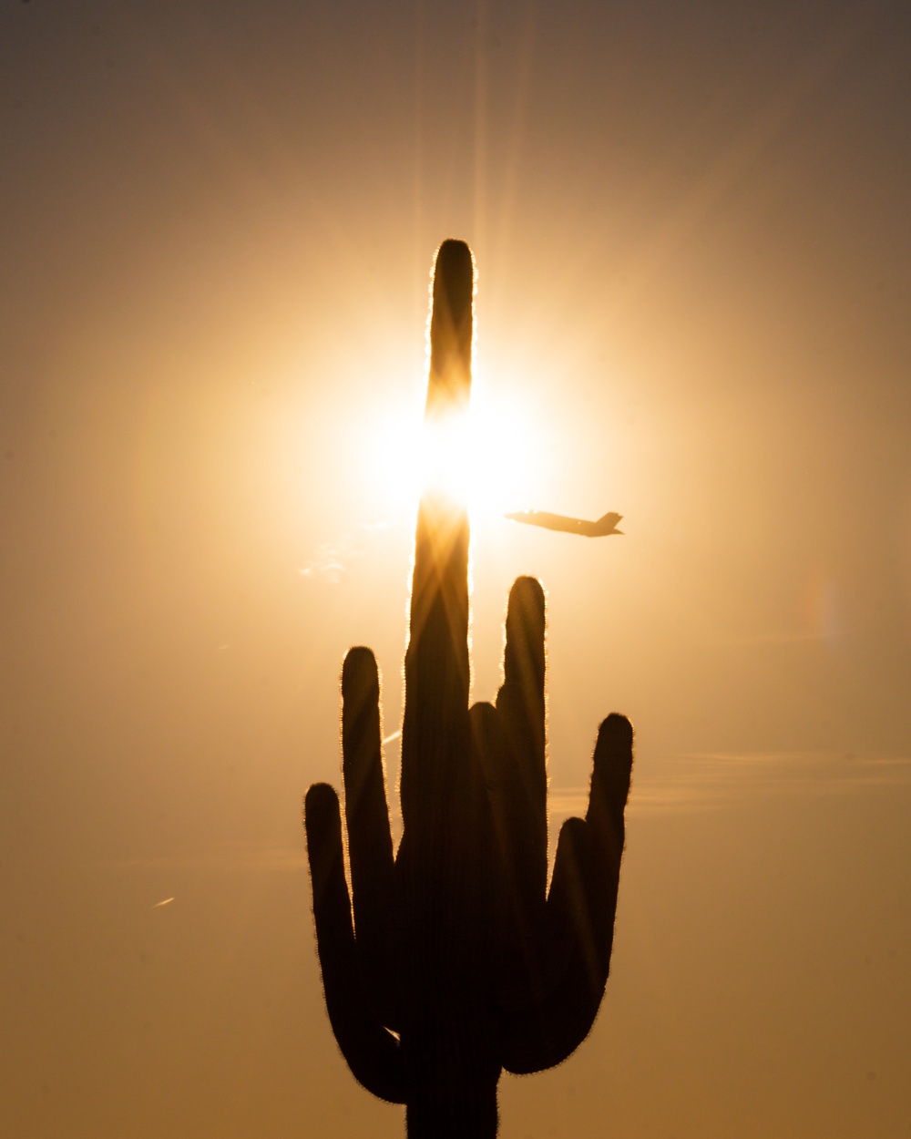 F-35 pilot training at Luke