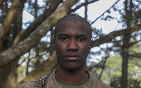 How’s the Crucible?