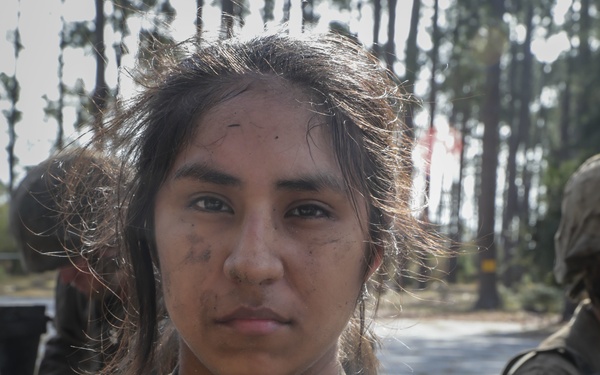 How’s the Crucible?