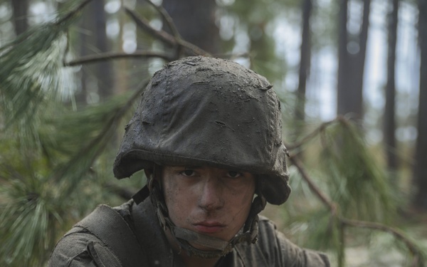 How’s the Crucible?