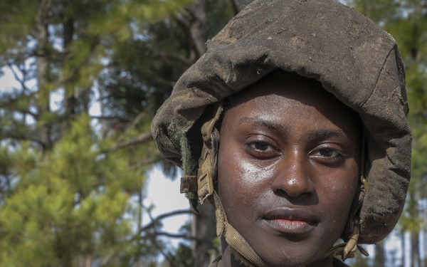 How’s the Crucible?