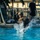31st MEU MRF refines VBSS capabilities
