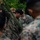 31st MEU MRF refines VBSS capabilities