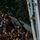 31st MEU MRF refines VBSS capabilities
