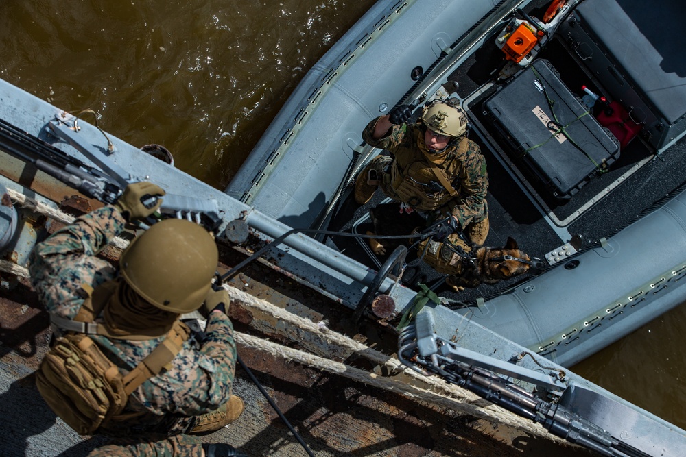 31st Marine Expeditionary Unit Maritime Raid Force begins Training