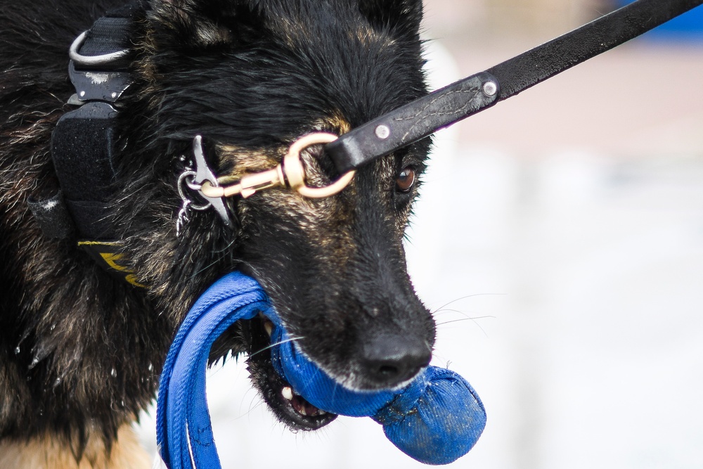 MWD water-based training opens as base pool closes