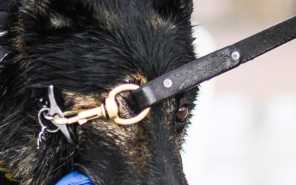 MWD water-based training opens as base pool closes