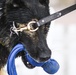 MWD water-based training opens as base pool closes