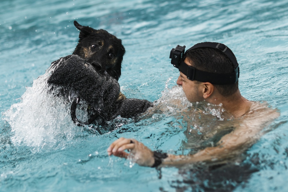 MWD water-based training opens as base pool closes
