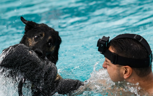 MWD water-based training opens as base pool closes