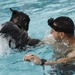 MWD water-based training opens as base pool closes