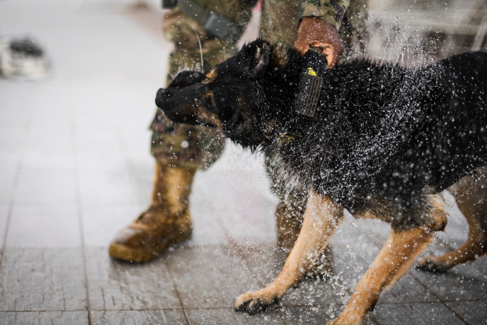 MWD water-based training opens as base pool closes