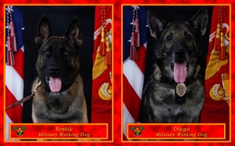 Diego and Yenki: the Future of DoD Law Enforcement