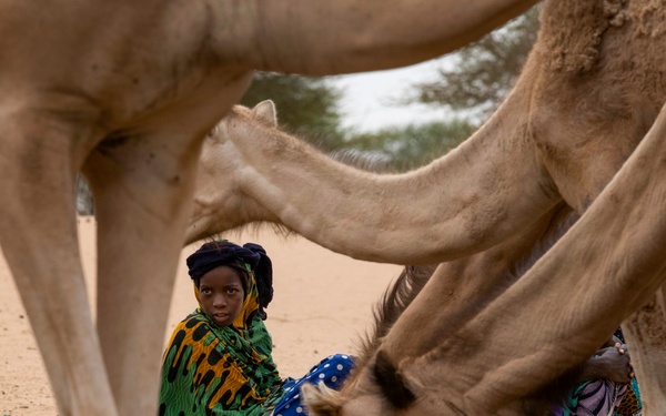 Soldiers and Airmen build partnerships in the Agadez