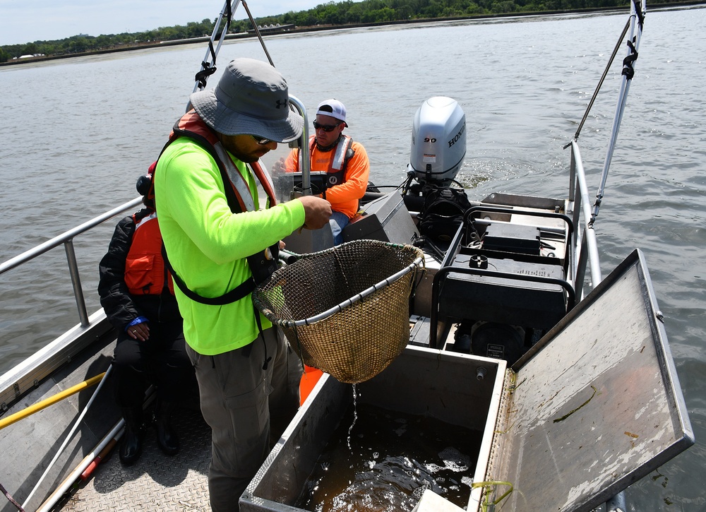 USACE fish biologists look forward to 2020 sampling season