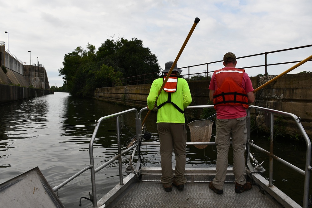 USACE fish biologists look forward to 2020 sampling season