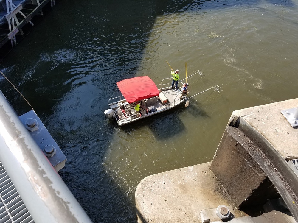 USACE fish biologists look forward to 2020 sampling season