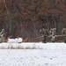 Cold-Weather Operations Course Class 20-01 Training Operations