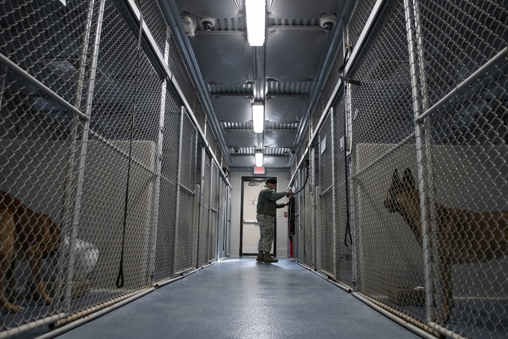 97 SFS builds better bonds through kennel renovations