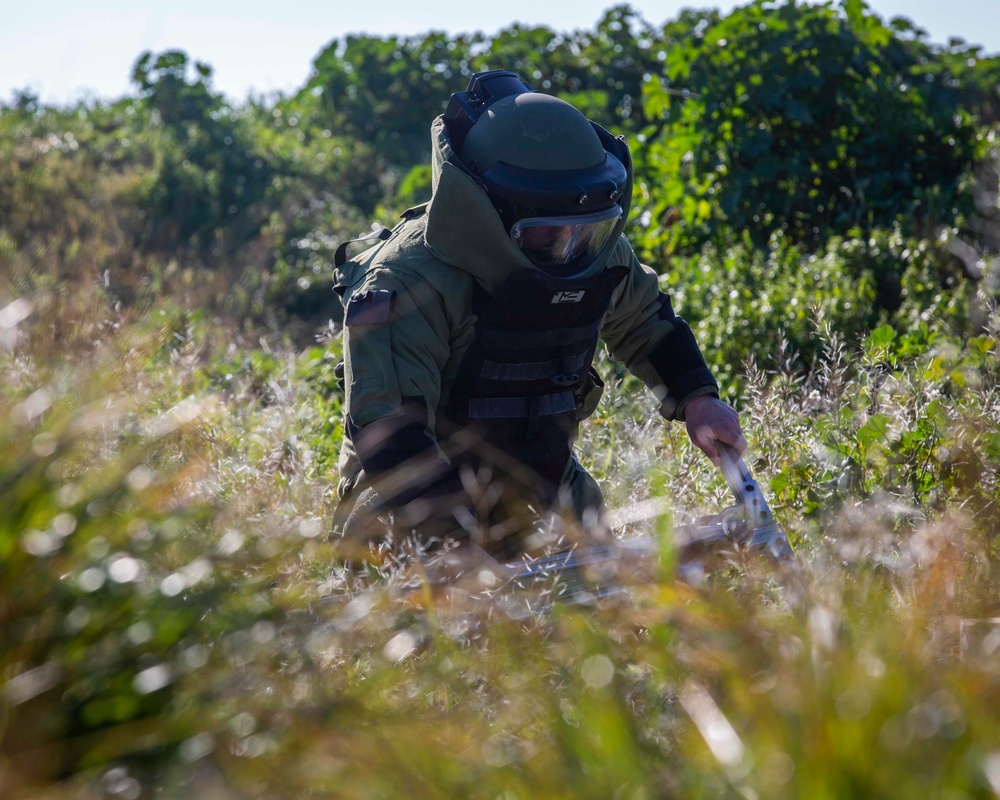 Marines Conduct Explosive Ordnance Disposal Training