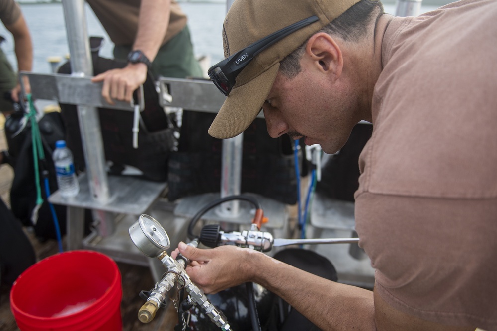 Navigational buoy maintenance