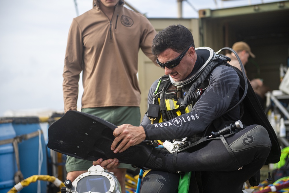 Navigational buoy maintenance