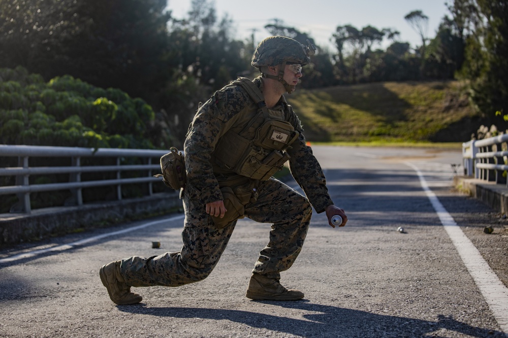 A Bigger Bang | EOD Marines with 3rd MLG conduct EODFEX 20.1