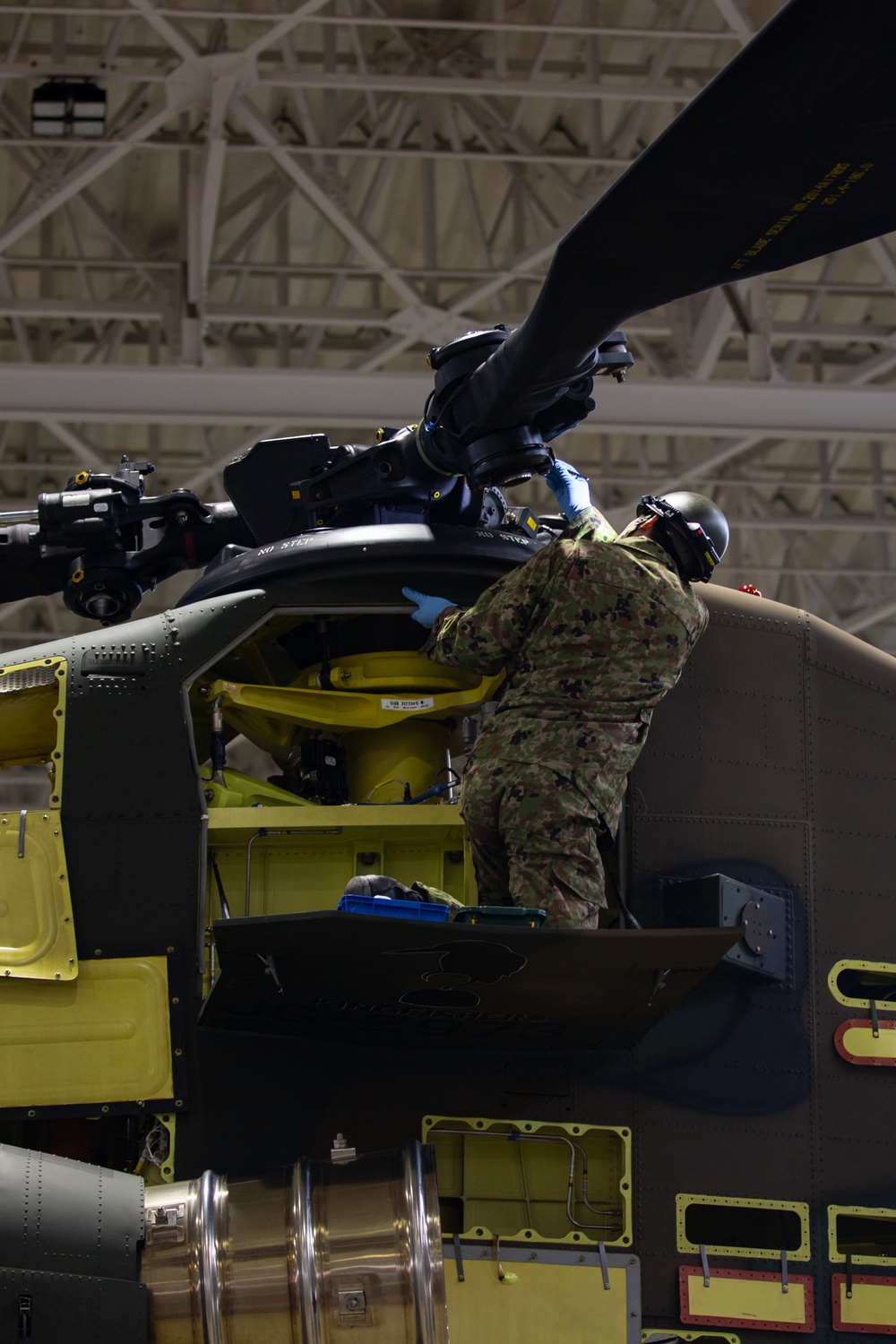 U.S. Marines, Japan Ground Self-Defense Force begin Exercise Forest Light Western Army