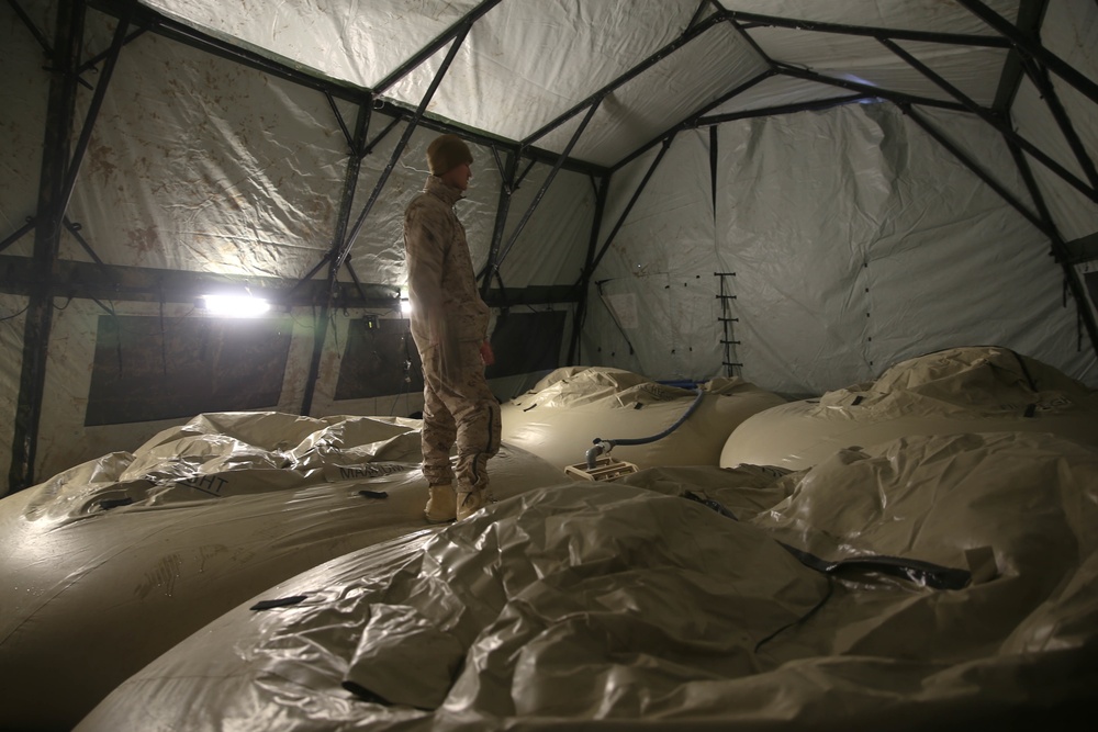 Winter Waterdogs Purifying Water at Northern Viper 2020