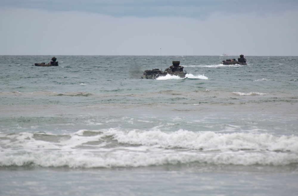 Iron Fist 2020: 3rd Assault Amphibian Battalion practices section-level beach landings