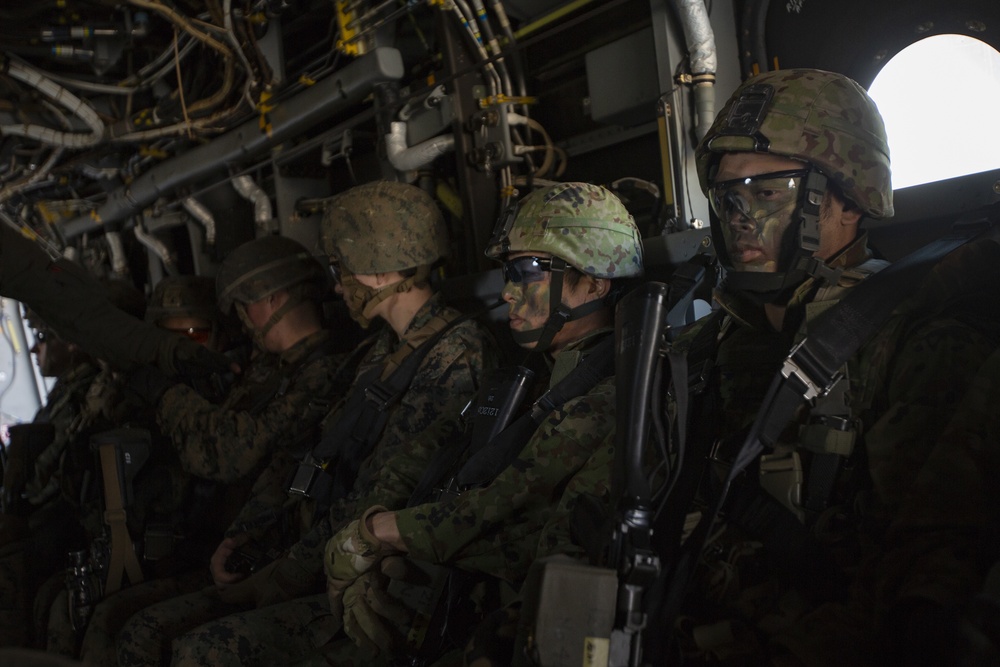 U.S. Marines, Japan Ground Self-Defense Force Conduct Bilateral Vertical Assault Training during Exercise Forest Light Western Army