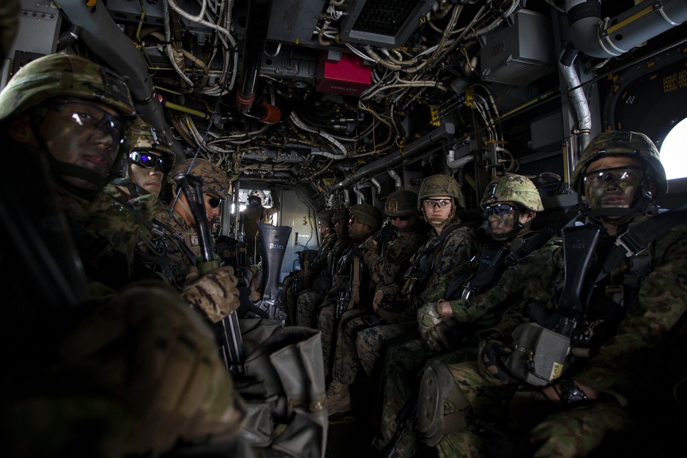 DVIDS - Images - U.S. Marines, Japan Ground Self-Defense Force Conduct ...