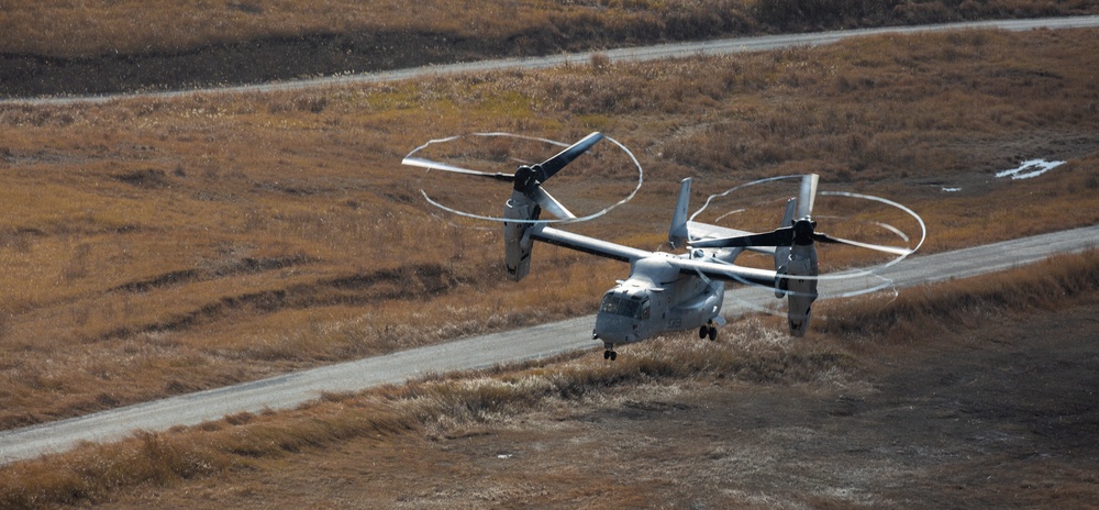 U.S. Marines, Japan Ground Self-Defense Force Conduct Bilateral Vertical Assault Training during Exercise Forest Light Western Army
