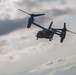 U.S. Marines, Japan Ground Self-Defense Force Conduct Bilateral Vertical Assault Training during Exercise Forest Light Western Army