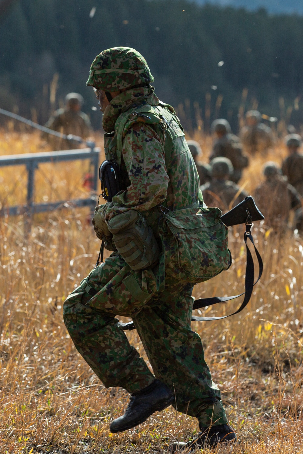 U.S. Marines, Japan Ground Self-Defense Force Conduct Bilateral Vertical Assault Training during Exercise Forest Light Western Army