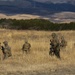 U.S. Marines, Japan Ground Self-Defense Force0 Conduct Bilateral Vertical Assault Training during Exercise Forest Light Western Army