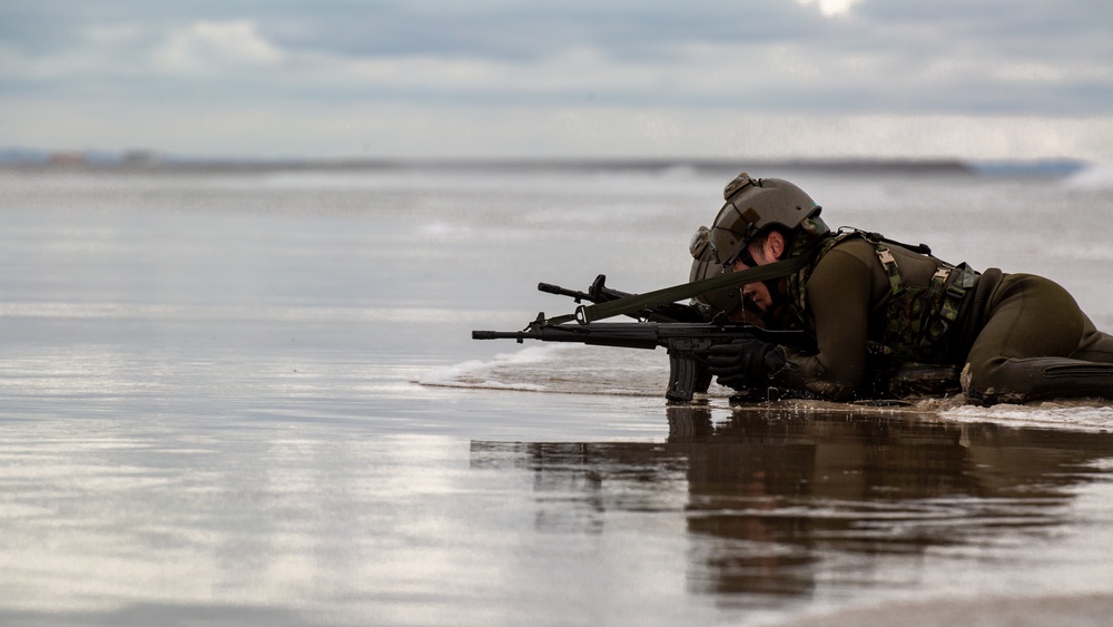 Iron Fist 2020: US Marines and Japan Ground Self-Defense Force soldiers participate in reconnaissance training