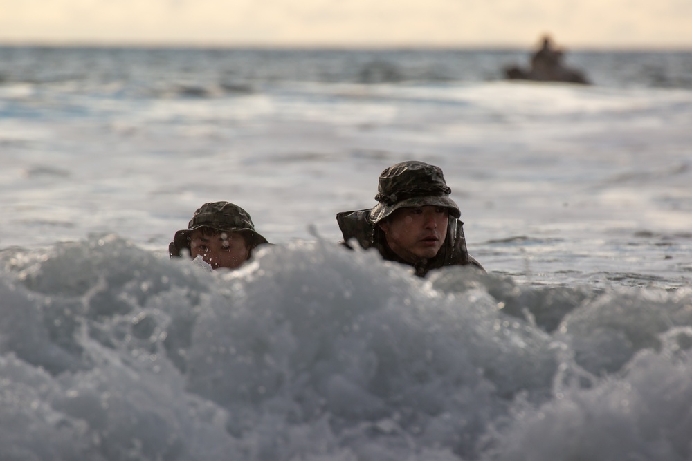 Iron Fist 2020: US Marines and Japan Ground Self-Defense Force soldiers participate in reconnaissance training