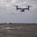 Osprey lands on New York flight deck