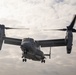 Osprey lands on New York flight deck