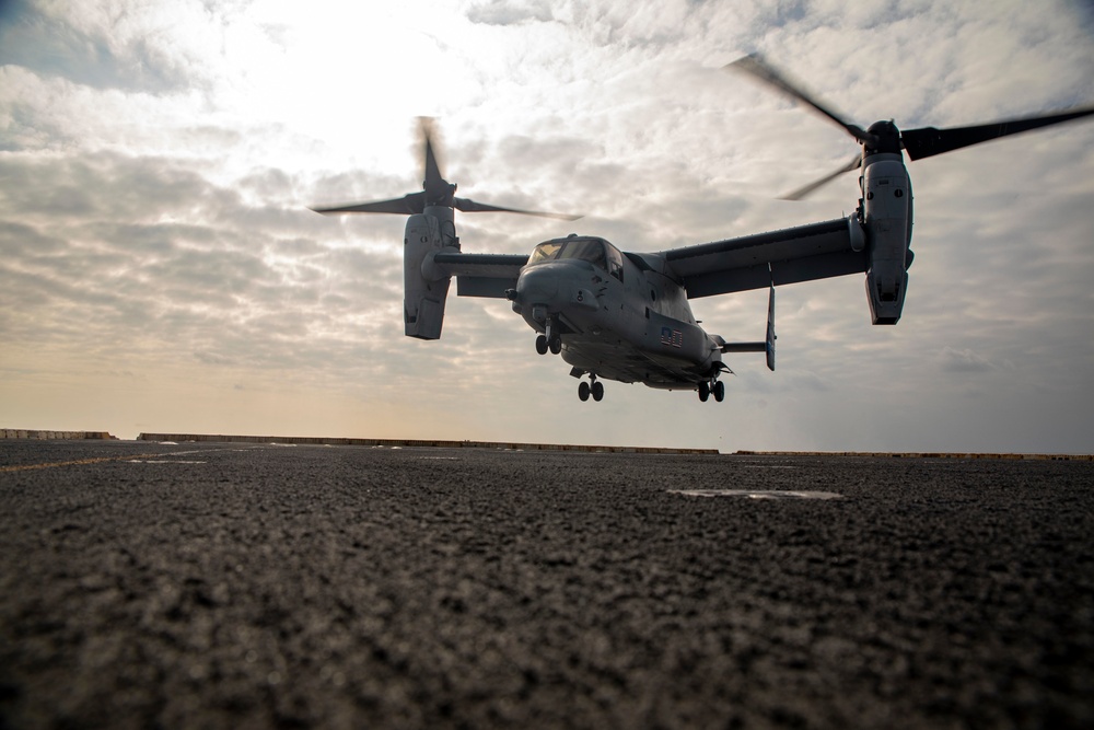 Osprey lands on New York flight deck