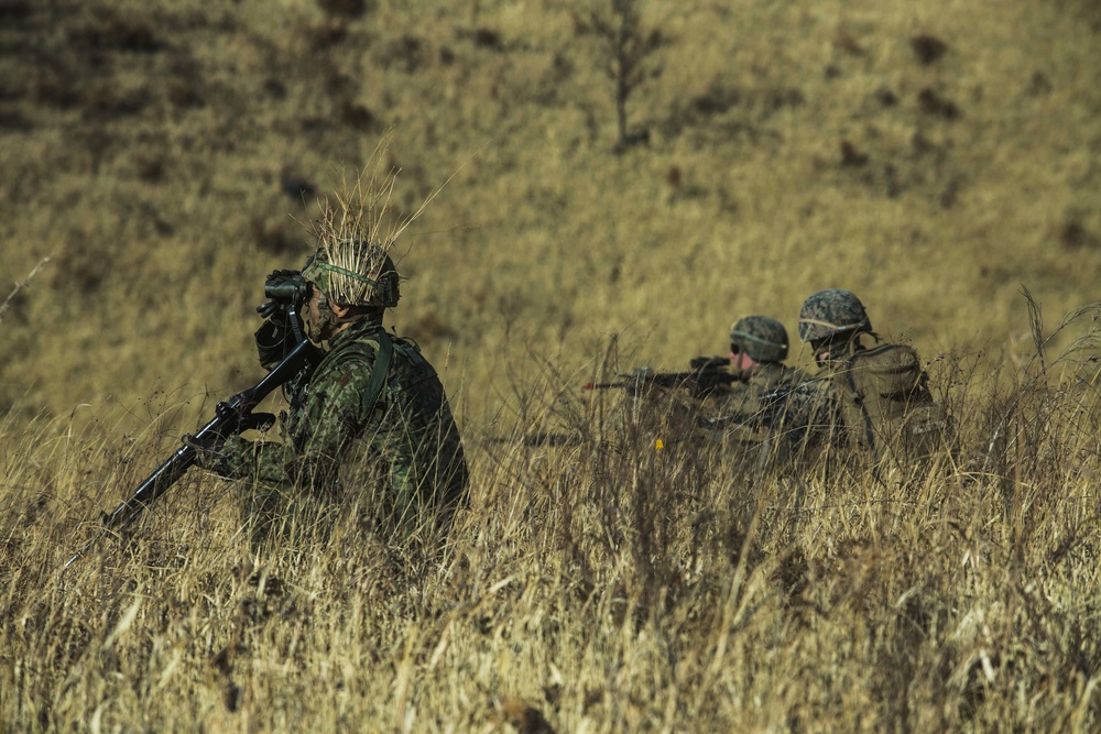 U.S. Marines, Japan Ground Self-Defense Force complete a bilateral vertical assault during Exercise Forest Light Western Army