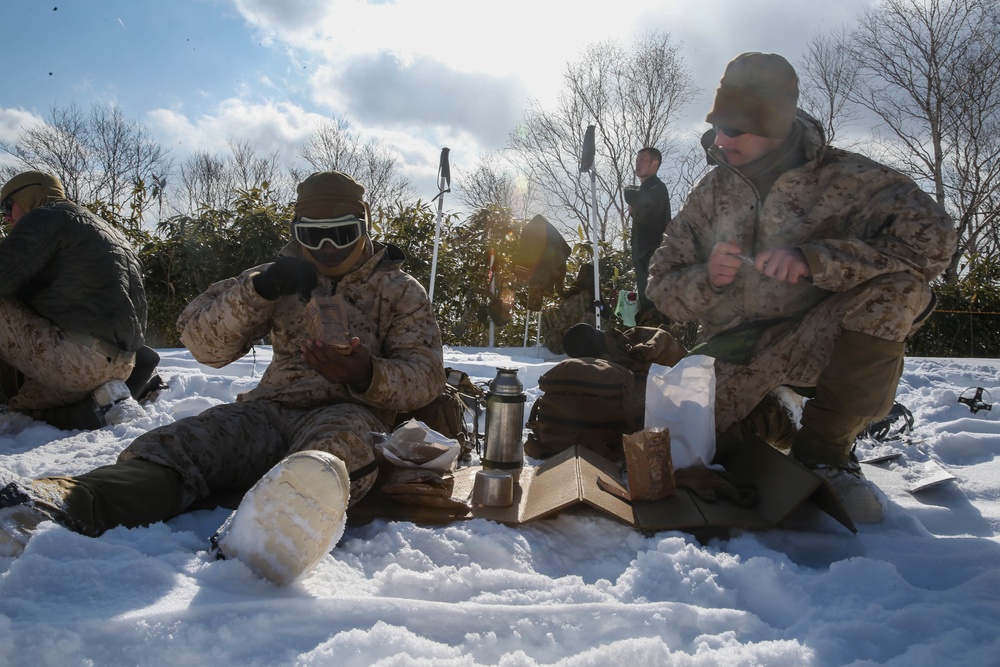 Golf Company Marines with 2/3 Jump and Glide the Slopes for Northern Viper 2020