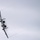 A-10 Demo Practice 22 Jan